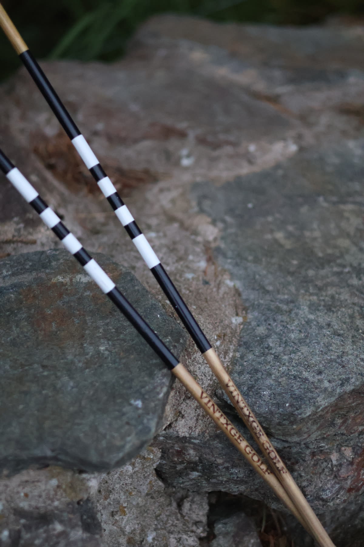 VX Alignment Sticks